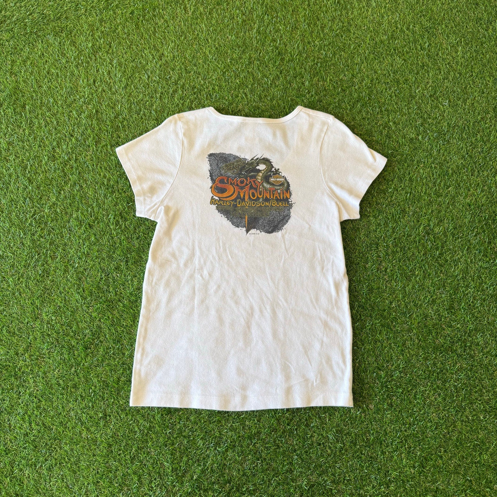 2007 Crazy Harley Davidson Dragon Smoky Moutain Top L