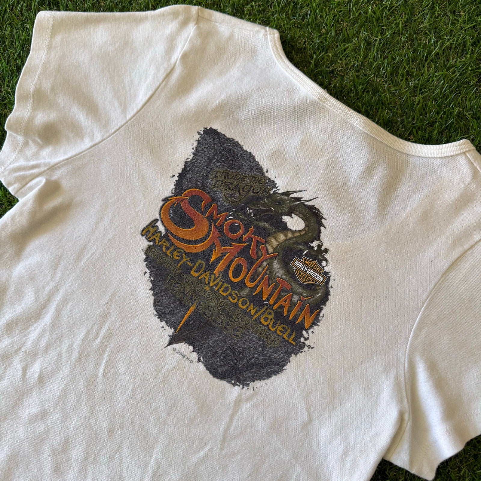 2007 Crazy Harley Davidson Dragon Smoky Moutain Top L