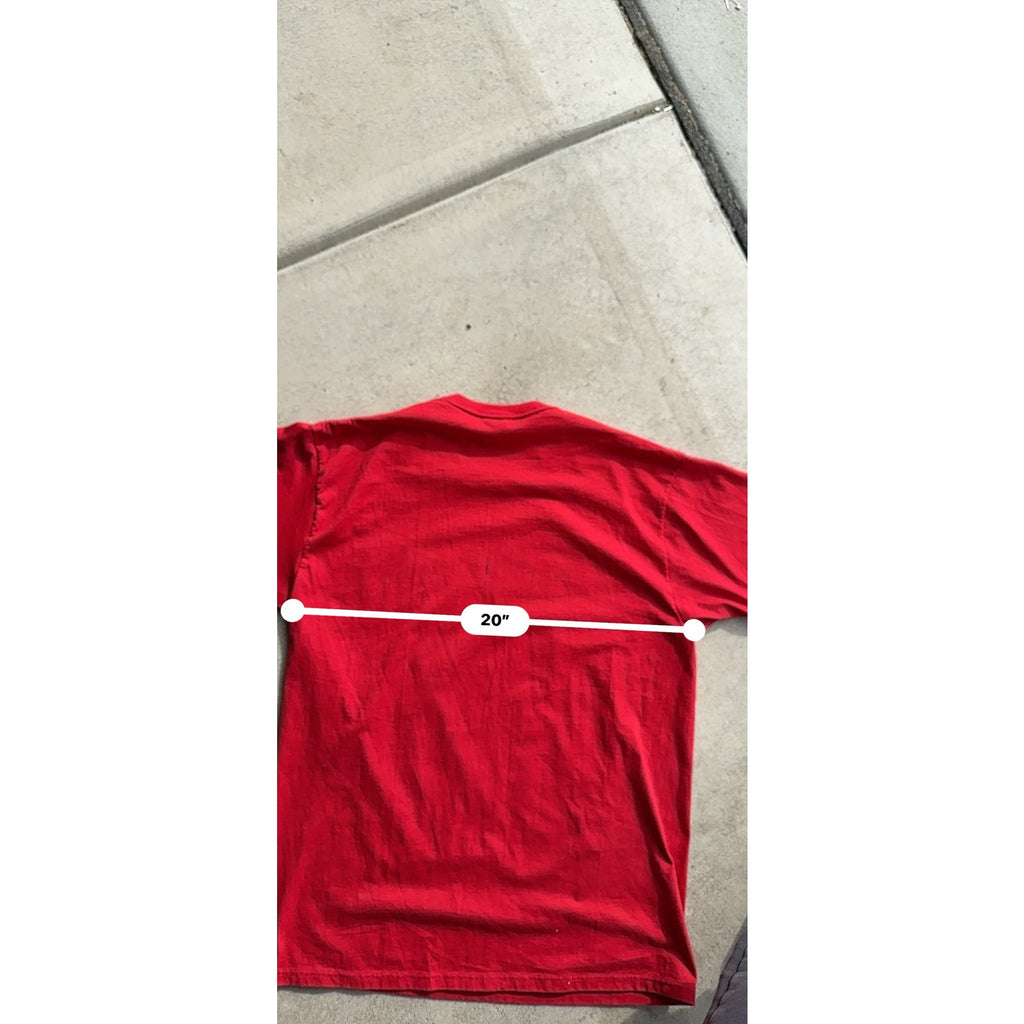 1995 NEBRASKA HUSKERS TASMANIAN DEVIL TEE L