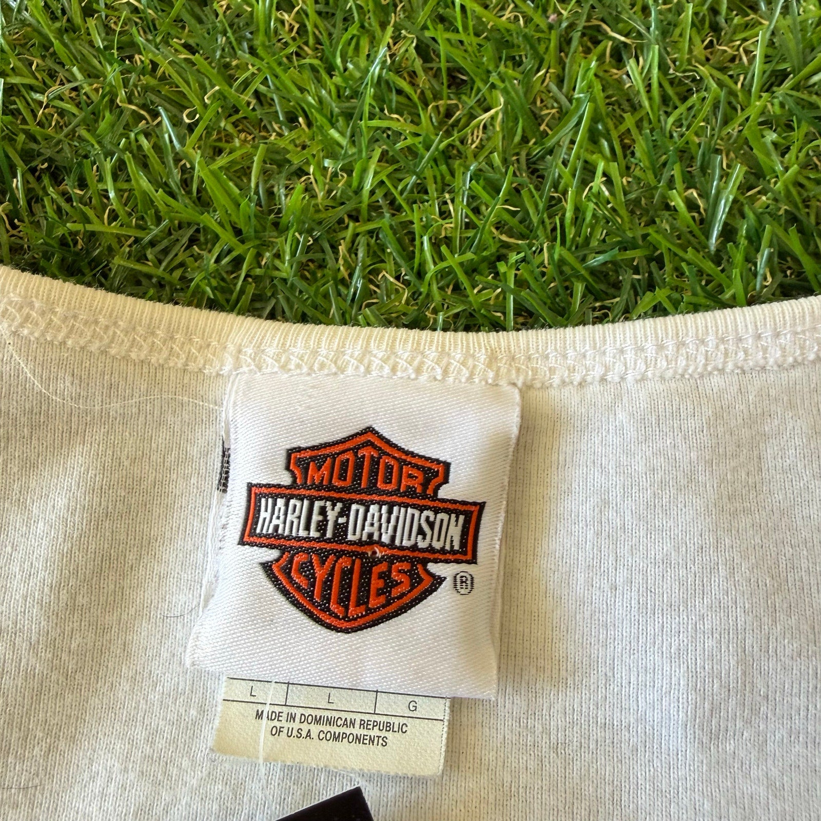 2007 Crazy Harley Davidson Dragon Smoky Moutain Top L